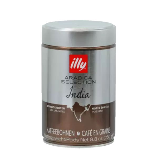 illy india